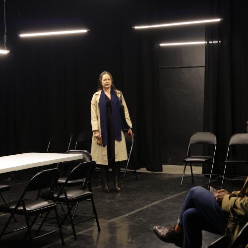 VENENO - Grupo: Teatro Estúdio – Produções Artísticas - foto paullo amarall /FCCR